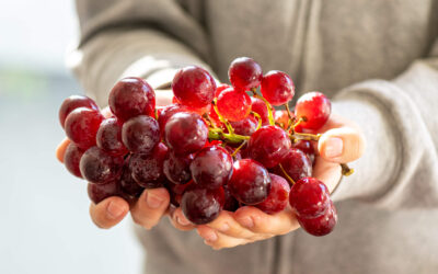 Florida-crafted Montepulciano made from California-grown grapes.